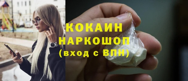 мет Алексин