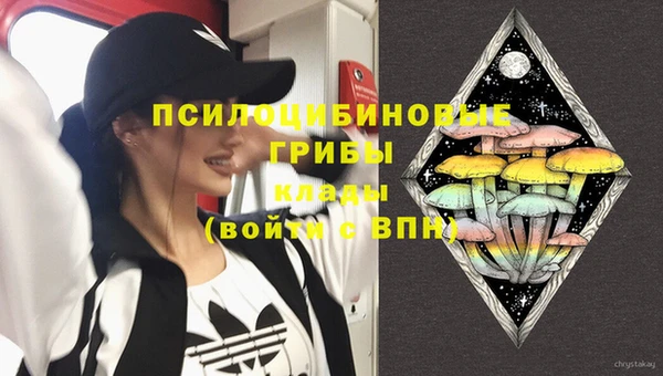 мет Алексин
